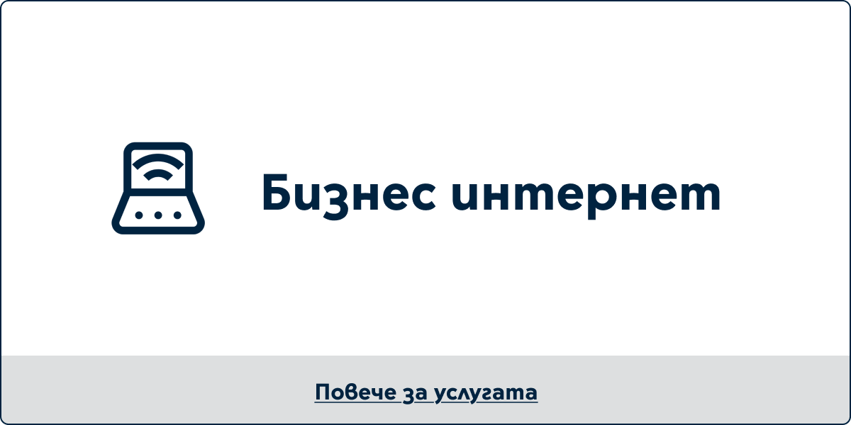 Бизнес интернет