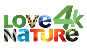 Love Nature 4K