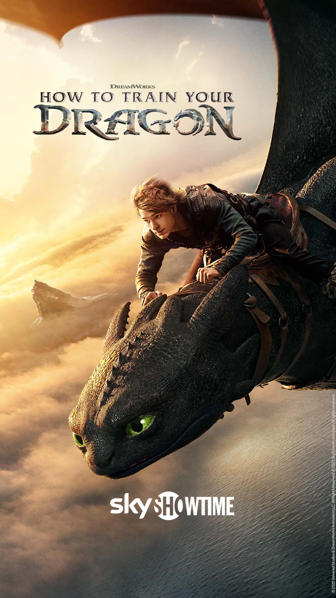 How to train your dragon