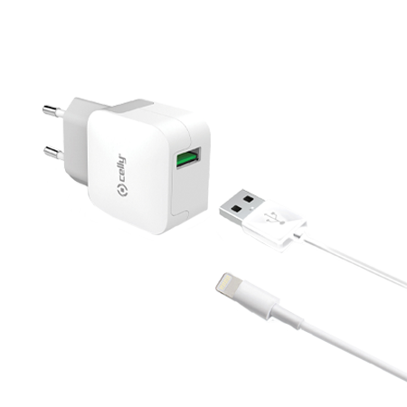 Celly Charger & Cable