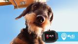 Telenor offers MyKi Pet tracking device